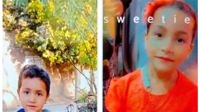 الحزن يكسو المنوفية بعد غرق طفلين شقيقين داخل ترعة النعناعية