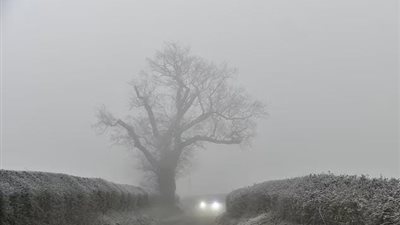 الضباب في بريطانيا يتسبب في تحويل قطرات الماء بالهواء الطلق إلى ثلوج