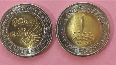 طرح 3 ملايين جنيه من العملات المعدنية تحمل شعار عيد الشرطة