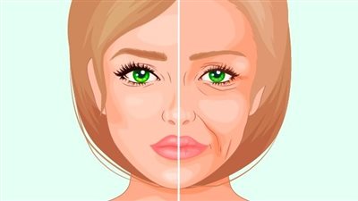  ما هو علاج التجاعيد في الوجه؟.. روشتة منزلية بخطوات طبيعية وعشبية