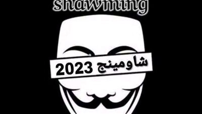 لمواجهة شاومينج.. تحرك برلماني بعد تداول امتحانات الدور الثاني للثانوية العامة 