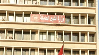 القوى العاملة: 127 فرصة عمل للشباب بالقليوبية.. منها لذوي همم 