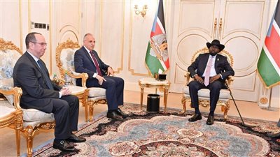 وزير الري: الرئيس السيسي حريص على دعم الاستقرار والتنمية في جنوب السودان