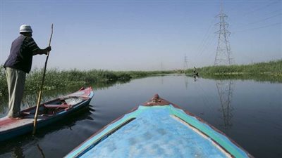 ضبط 3 أشخاص من صيادي الصعق بالكهرباء في بحيرة مريوط بالإسكندرية 