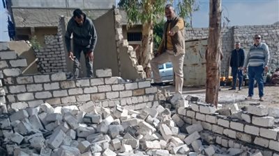 حملات لإزالة التعديات على الأراضي الزراعية وإيقاف البناء المخالف بالإسكندرية