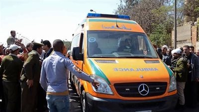 مصرع مسن تحت عجلات سيارة نقل ثقيل في المنوفية