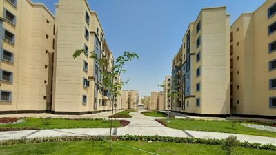 رئيس وحدة المدن المستدامة: رفع نصيب الفرد من المساحات الخضراء إلى 10 أمتار بحلول 2030