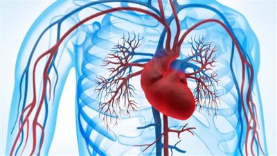 الصحة الأمريكية: جهاز التحكم في ضخ الدم يسبب إصابات خطيرة تؤدي إلى الوفاة