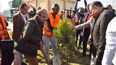 وزيرة البيئة ومحافظ أسيوط يشاركان في حملة تشجير ضمن مبادرة زراعة 100 مليون شجرة 