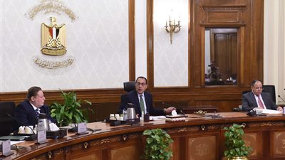 رئيس الوزراء: منح حافز مالي للسيدات الملتزمات بإنجاب طفلين على الأكثر