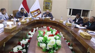 محافظ الوادي الجديد: سحب الأراضي المباعة ولم يسدد ثمنها