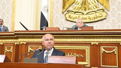 برلمانيون لوزير النقل: بعض الكباري لا حاجة لها.. لم نخرج من الدائرة الحمراء لمعدلات حوادث الطرق