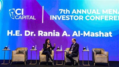 المشاط: 7.3 مليار دولار تمويلات تنموية للقطاع الخاص في 3 أعوام