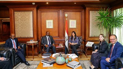 المشاط تناقش مع وفد مؤسسة التمويل الدولية التوسع في أدوات دعم مشاركة القطاع الخاص 