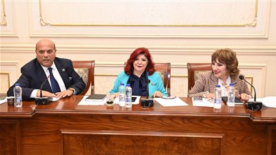 رفع كفاءة برج العرب وتشغيل خط طيران القاهرة سيوة.. توصيات سياحة النواب بشأن المطارات