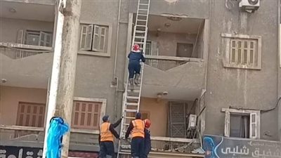 الحماية المدنية تنقذ قطة عالقة بالطابق الرابع في عقار بالبحيرة | فيديو
