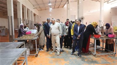 3 دول تتعاقد لشراء تمور الوادي الجديد أبرزها روسيا