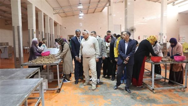 مجمع تمور الوادي