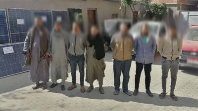 القبض على تشكيل عصابي تخصص في سرقة اللوحات الشمسية بالبحيرة 