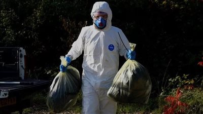 إصابة رجل بسلالة من إنفلونزا الطيور تشير إلى أنها أكثر فتكًا بالبشر