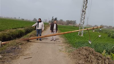 تركيب 3 أعمدة إنارة سقطوا بسبب الرياح في المنوفية