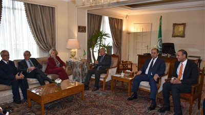 فلسطين وسوريا وليبيا على طاولة مباحثات أبو الغيط ورئيسة لجنة الدفاع بالشيوخ الإيطالي