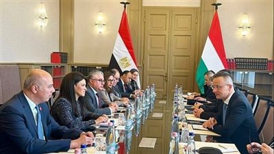 رئيس المنطقة الاقتصادية لقناة السويس: استهداف 21 قطاعًا صناعيًا لتلبية احتياجات الأسواق الخارجية 