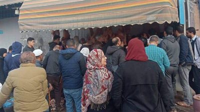 محافظ المنوفية يوجه بعودة سعر اللحوم بمنفذ وزارة الزراعة بشبين الكوم لـ 160 جنيهًا