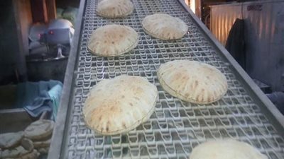 محافظ الدقهلية: إحالة 241 محضرًا بالمخالفات التموينية للنيابة العامة