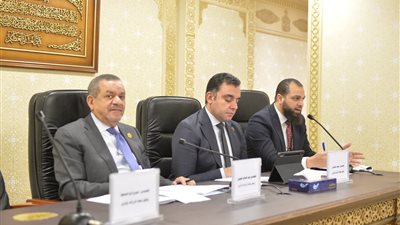 توصية برلمانية للحكومة بإعداد خطة عملية لتنفيذ مشروع داجني بالقرى لتوفير السلالات والتطعيمات والأعلاف