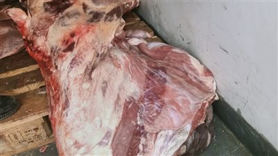 ضبط 5 أطنان مخلل وكبدة غيرصالحة للاستهلاك الآدمي بالبحيرة