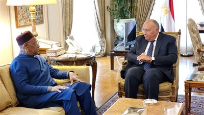 شكري يؤكد للمبعوث الأممي ضرورة توقف بعض الأطراف الخارجية عن تطويع العملية السياسية في ليبيا 