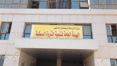 هيئة الثروة السمكية: نبحث عن بدائل آمنة للأعلاف من مخرجات المجازر والفنادق والإنتاج الزراعي