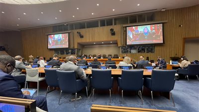 وزيرة التضامن أمام الأمم المتحدة: أصدرنا أكثر من 11 مليون بطاقة ميزة للتوسع في الشمول المالي