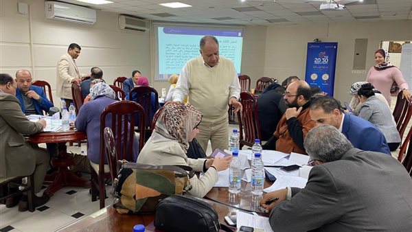  جائزة مصر للتميز