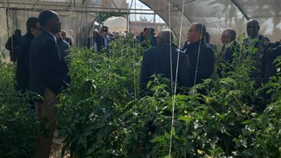 وفد كليات الزراعة العرب يتفقد الأنشطة البحثية لمركز بحوث الصحراء بجنوب سيناء 