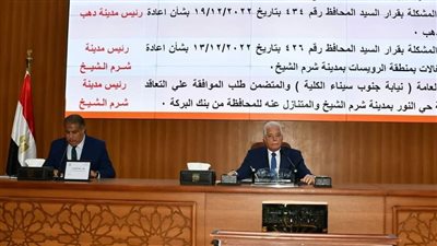 محافظ جنوب سيناء يقرر تخصيص تكلفة احتفالات العيد القومي لتوفير السلع الغذائية للمستحقين مجانًا | تفاصيل