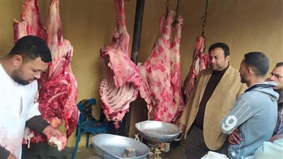 اللحمة بـ 170 جنيها.. بيع اللحوم البلدية بأسعار مخفضة بمنافذ بيع مركز ديرمواس في المنيا