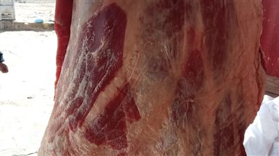 ضبط 6 جزارين لارتكابهم مخالفات.. ومطعم استخدم لحوما مجهولة المصدر بالبحيرة 