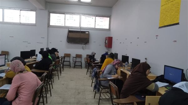 القوى العاملة بالدقهلية