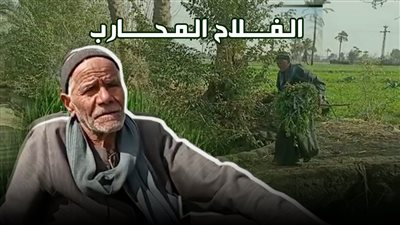 الفلاح المحارب.. قصة كفاح عم عبد الحميد ببني سويف: شاركت في حرب اليمن ونصر أكتوبر| صور وفيديو 