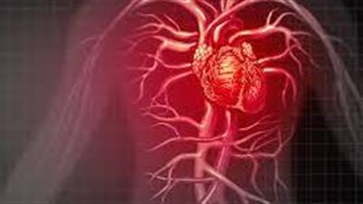 تصيب القلب.. تعرف على أعراض الإصابة بـ متلازمة وولف باركنسون وايت