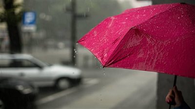 حالة الطقس في الأيام المقبلة.. اضطراب الأحوال الجوية في الفلانتين وسقوط أمطار على القاهرة 