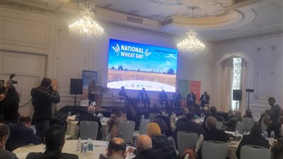 رئيس أكاديمية البحث العلمي: التغيرات المناخية وحرب أوكرانيا عززتا أزمة الغذاء