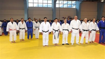 رئيس اتحاد الجودو: اجتهدنا كثيرا ونحصد الآن ثمار ما زرعناه