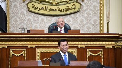 أشرف صبحي في البرلمان: حجم العمل بالوزارة كبير للغاية.. وملف كرة القدم عانى لسنوات