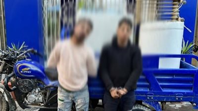 ضبط لصين يسرقان الشقق السكنية بأسلوب كسر الباب في القاهرة
