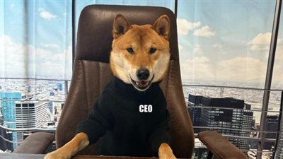 ممتاز في التعامل مع الأرقام.. كلب إيلون ماسك في مكتب الرئيس التنفيذي لتويتر 