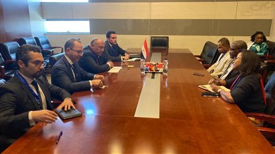 شكري يلتقي وزير خارجية جزر القمر على هامش أعمال المجلس التنفيذي للاتحاد الإفريقي 