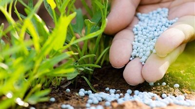 معلومات الوزراء: الدولة تقدم الأسمدة بأقل من نصف تكلفة السوق وتدعم الزراعة بقوة